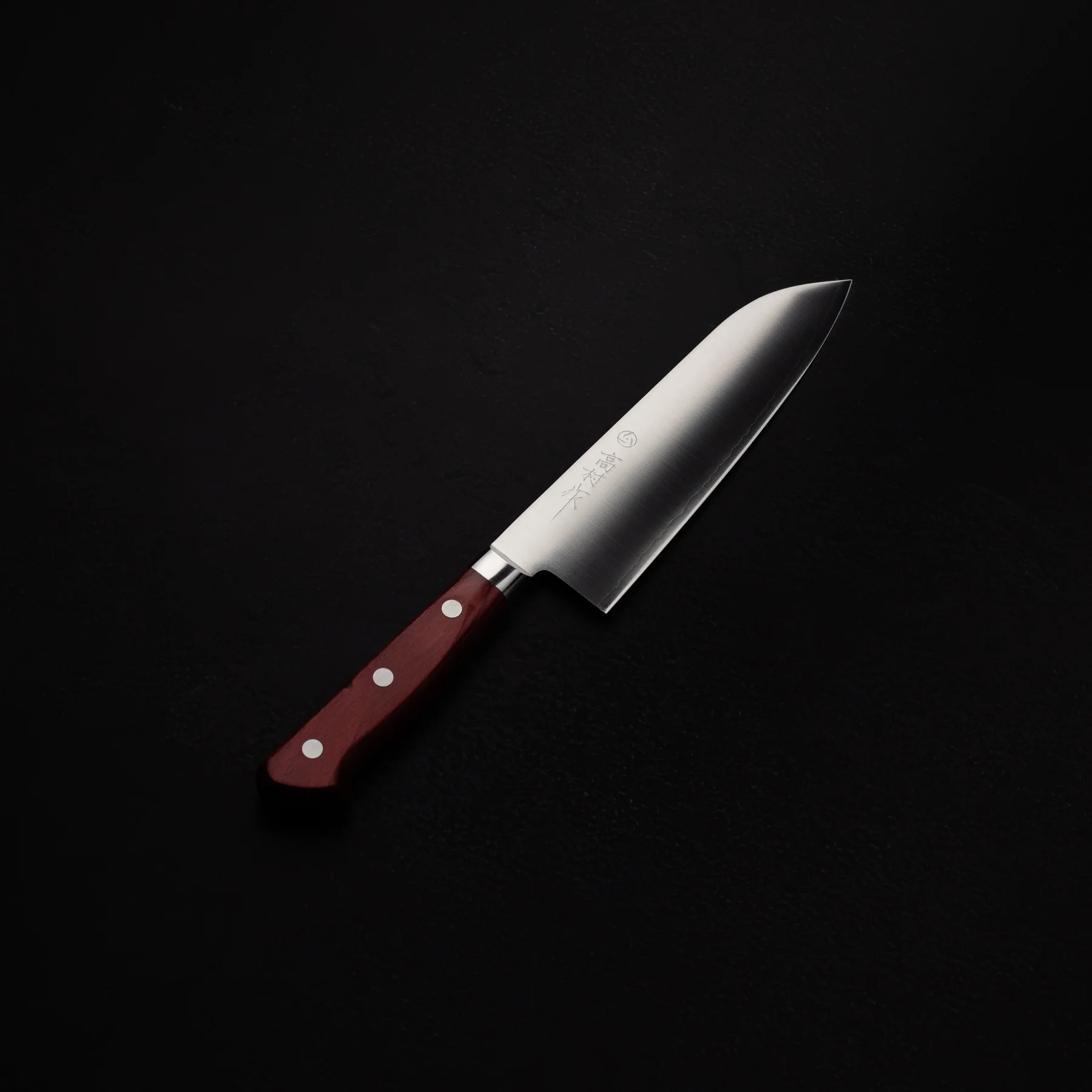 Takamura Migaki SG2 Santoku 170mm
